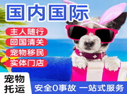 正定机场物流国际宠物托运 【国